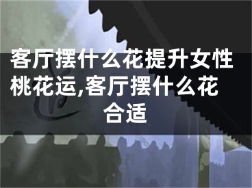 客厅摆什么花提升女性桃花运,客厅摆什么花合适