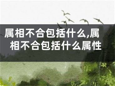 属相不合包括什么,属相不合包括什么属性