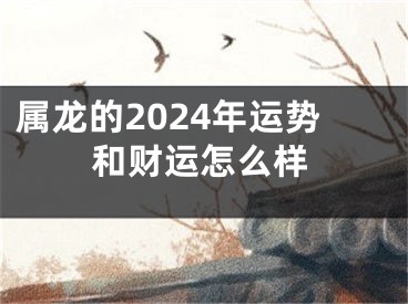 属龙的2024年运势和财运怎么样