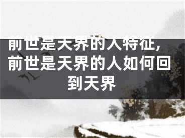 前世是天界的人特征,前世是天界的人如何回到天界