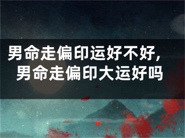 男命走偏印运好不好,男命走偏印大运好吗