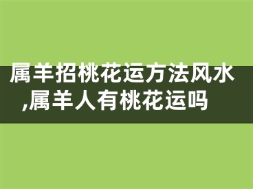 属羊招桃花运方法风水,属羊人有桃花运吗