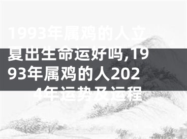 1993年属鸡的人立夏出生命运好吗,1993年属鸡的人2024年运势及运程