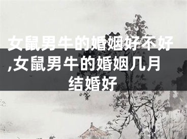 女鼠男牛的婚姻好不好,女鼠男牛的婚姻几月结婚好