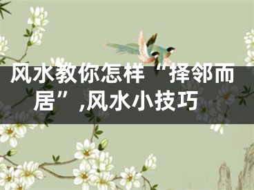 风水教你怎样“择邻而居”,风水小技巧