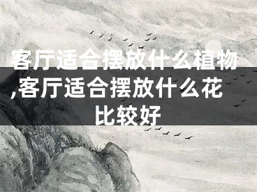 客厅适合摆放什么植物,客厅适合摆放什么花比较好