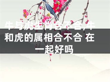 牛与虎生肖合不合,牛和虎的属相合不合 在一起好吗