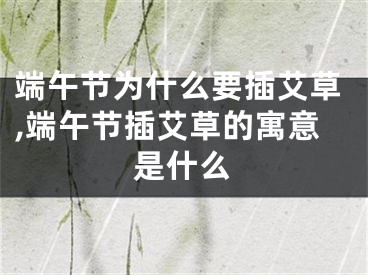 端午节为什么要插艾草,端午节插艾草的寓意是什么
