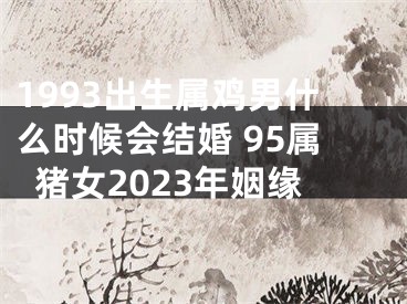 1993出生属鸡男什么时候会结婚 95属猪女2023年姻缘