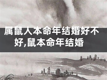 属鼠人本命年结婚好不好,鼠本命年结婚