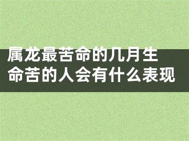 属龙最苦命的几月生 命苦的人会有什么表现