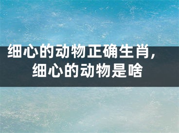 细心的动物正确生肖,细心的动物是啥