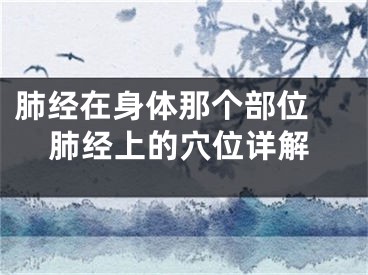肺经在身体那个部位 肺经上的穴位详解