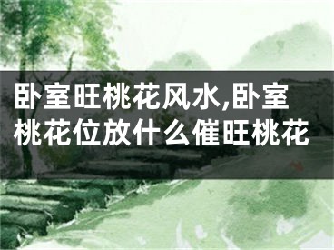 卧室旺桃花风水,卧室桃花位放什么催旺桃花
