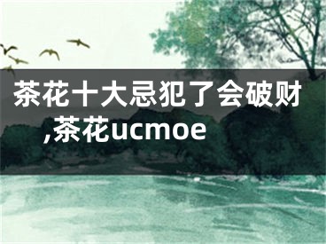 茶花十大忌犯了会破财,茶花ucmoe