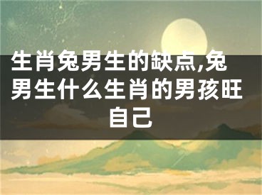 生肖兔男生的缺点,兔男生什么生肖的男孩旺自己