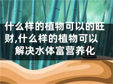 什么样的植物可以的旺财,什么样的植物可以解决水体富营养化