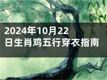 2024年10月22日生肖鸡五行穿衣指南