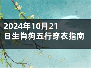 2024年10月21日生肖狗五行穿衣指南