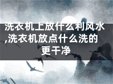 洗衣机上放什么利风水,洗衣机放点什么洗的更干净