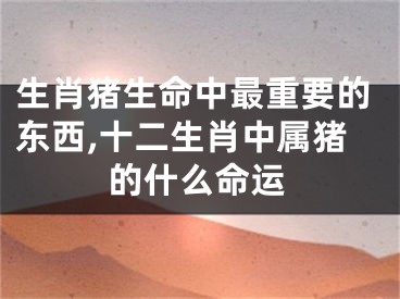 生肖猪生命中最重要的东西,十二生肖中属猪的什么命运