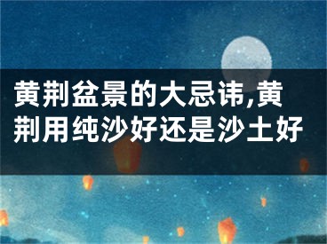 黄荆盆景的大忌讳,黄荆用纯沙好还是沙土好
