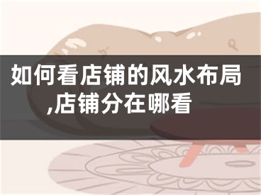 如何看店铺的风水布局,店铺分在哪看