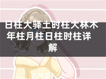 日柱大驿土时柱大林木 年柱月柱日柱时柱详解