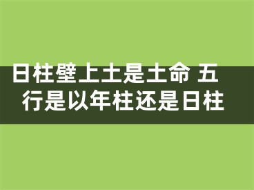 日柱壁上土是土命 五行是以年柱还是日柱
