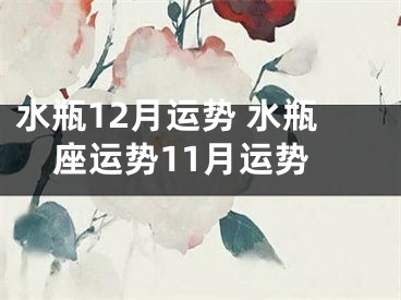 水瓶12月运势 水瓶座运势11月运势