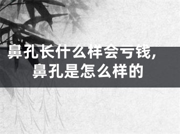 鼻孔长什么样会亏钱,鼻孔是怎么样的
