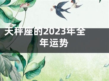 天秤座的2023年全年运势