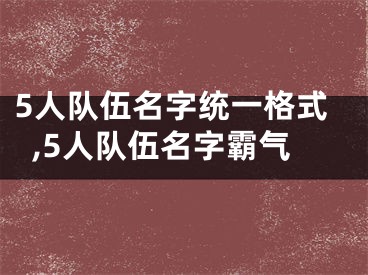 5人队伍名字统一格式,5人队伍名字霸气