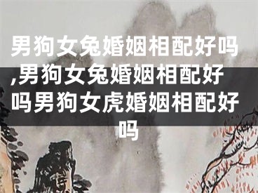 男狗女兔婚姻相配好吗,男狗女兔婚姻相配好吗男狗女虎婚姻相配好吗