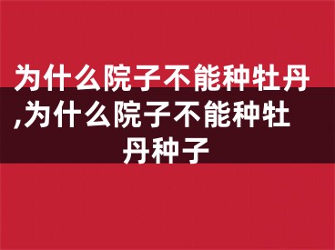 为什么院子不能种牡丹,为什么院子不能种牡丹种子