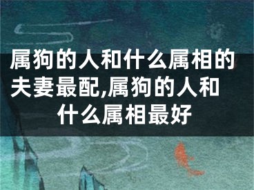 属狗的人和什么属相的夫妻最配,属狗的人和什么属相最好