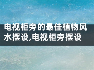 电视柜旁的最佳植物风水摆设,电视柜旁摆设