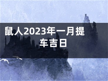 鼠人2023年一月提车吉日