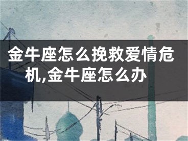 金牛座怎么挽救爱情危机,金牛座怎么办