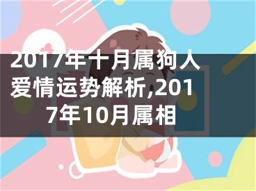 2017年十月属狗人爱情运势解析,2017年10月属相