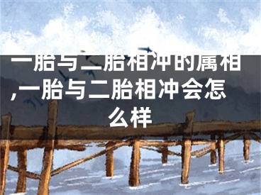 一胎与二胎相冲的属相,一胎与二胎相冲会怎么样