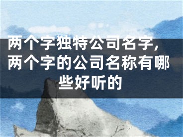 两个字独特公司名字,两个字的公司名称有哪些好听的