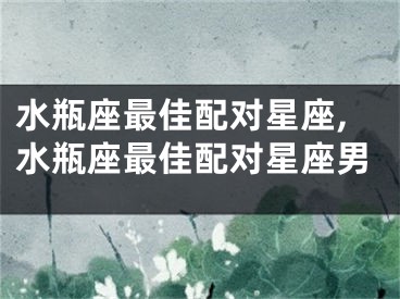 水瓶座最佳配对星座,水瓶座最佳配对星座男