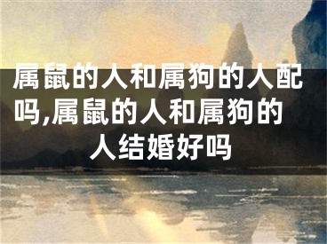 属鼠的人和属狗的人配吗,属鼠的人和属狗的人结婚好吗