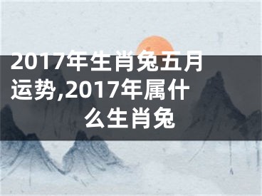 2017年生肖兔五月运势,2017年属什么生肖兔