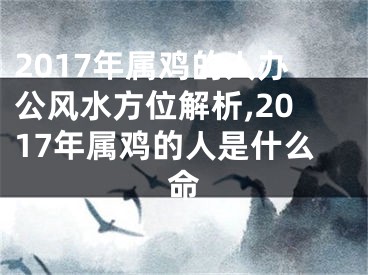 2017年属鸡的人办公风水方位解析,2017年属鸡的人是什么命