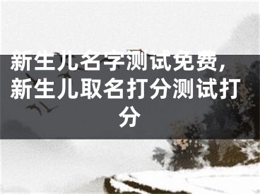 新生儿名字测试免费,新生儿取名打分测试打分