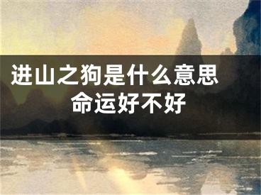 进山之狗是什么意思 命运好不好