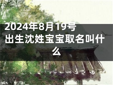 2024年8月19号出生沈姓宝宝取名叫什么