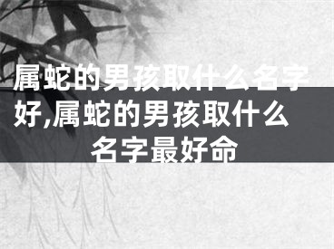 属蛇的男孩取什么名字好,属蛇的男孩取什么名字最好命
